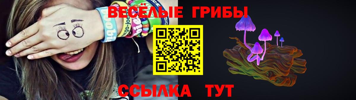 Славгород  Псилоцибиновые грибы Magic Shrooms  Вход с VPN 
