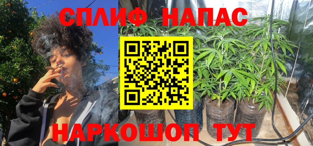 МАРИХУАНА планчик  Вход с VPN  Славгород  МАРИХУАНА VHQ  Каннабис семена 